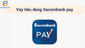 vay tieu dung sacombank pay
